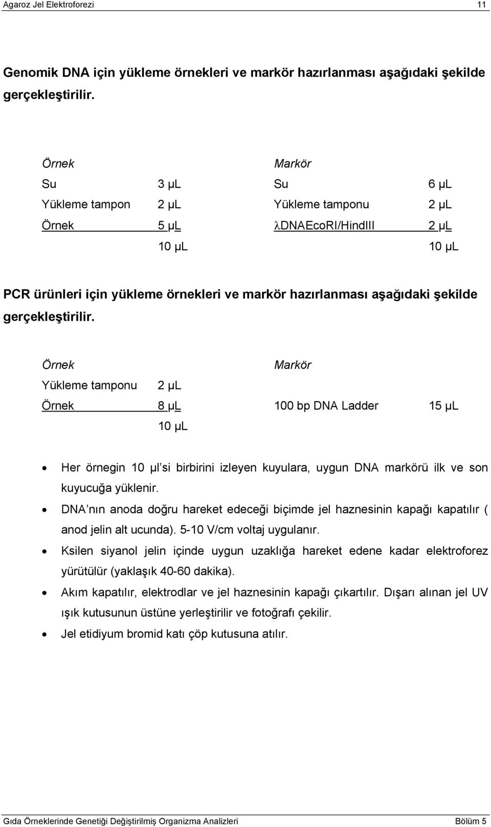 gerçekleştirilir. Örnek Markör Yükleme tamponu 2 µl Örnek 8 µl 100 bp DNA Ladder 15 µl 10 µl Her örnegin 10 µl si birbirini izleyen kuyulara, uygun DNA markörü ilk ve son kuyucuğa yüklenir.