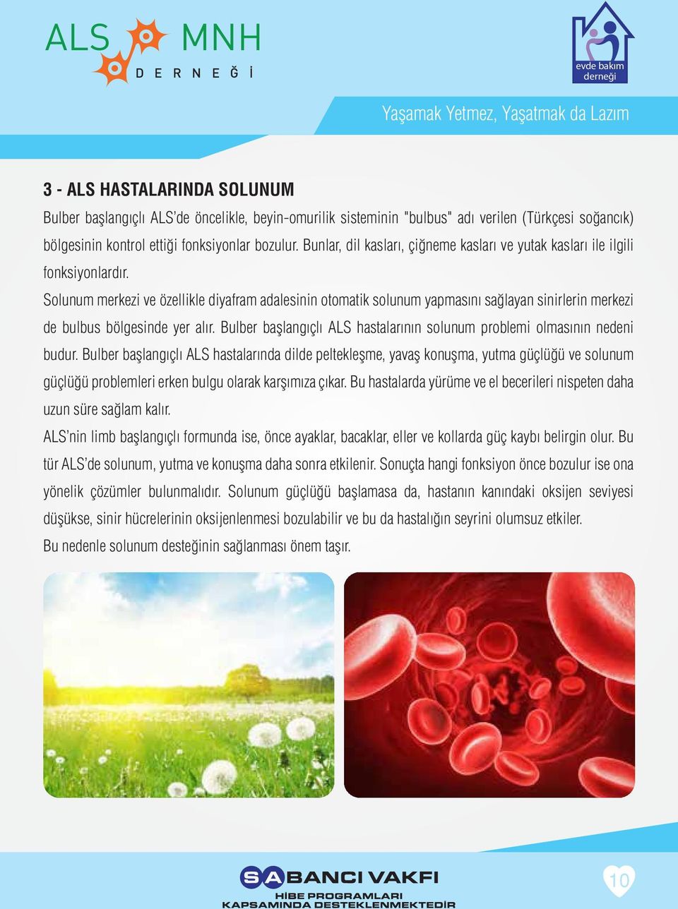 Solunum merkezi ve özellikle diyafram adalesinin otomatik solunum yapmasını sağlayan sinirlerin merkezi de bulbus bölgesinde yer alır.