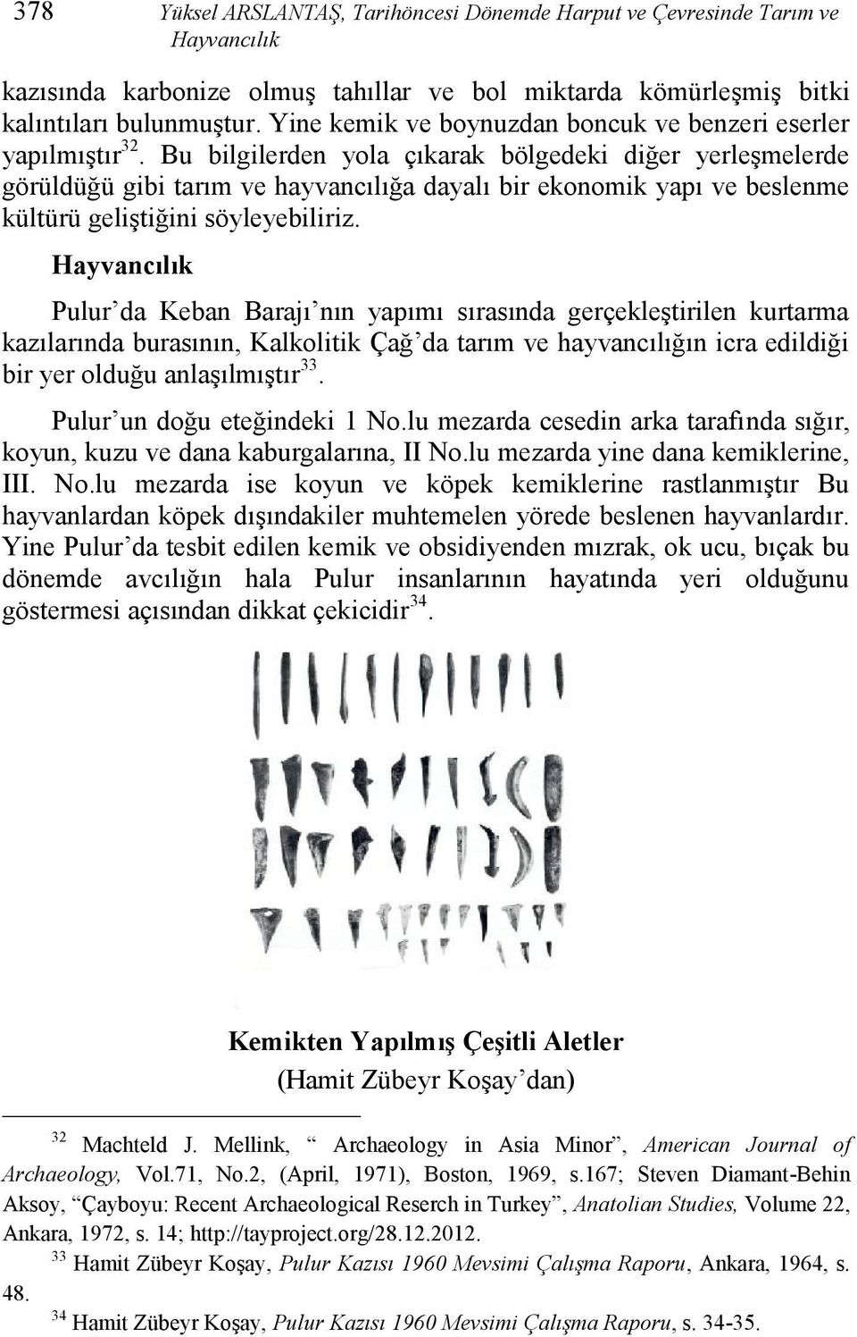 Bu bilgilerden yola çıkarak bölgedeki diğer yerleşmelerde görüldüğü gibi tarım ve hayvancılığa dayalı bir ekonomik yapı ve beslenme kültürü geliştiğini söyleyebiliriz.