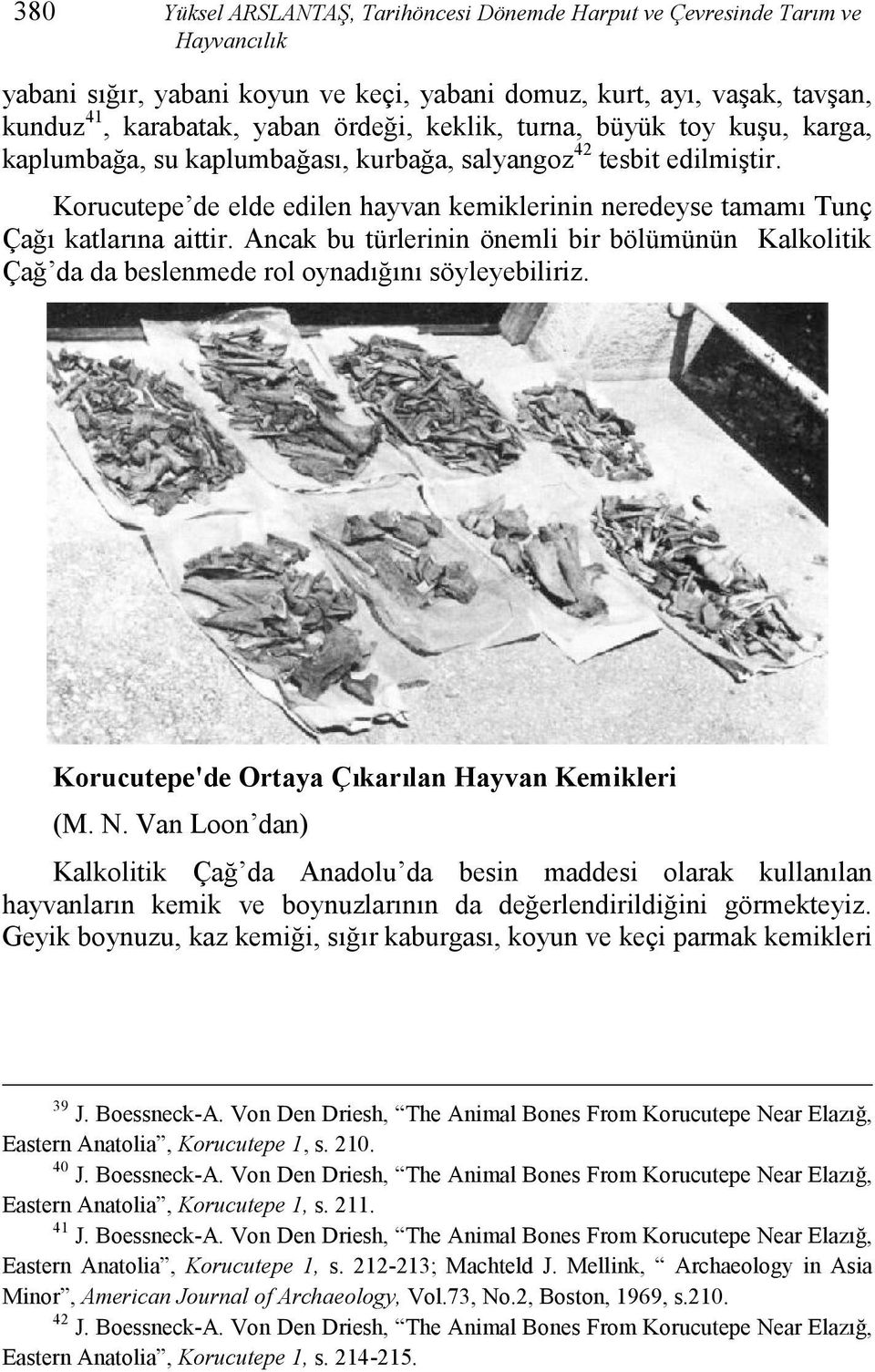 Ancak bu türlerinin önemli bir bölümünün Kalkolitik Çağ da da beslenmede rol oynadığını söyleyebiliriz. Korucutepe'de Ortaya Çıkarılan Hayvan Kemikleri (M. N.