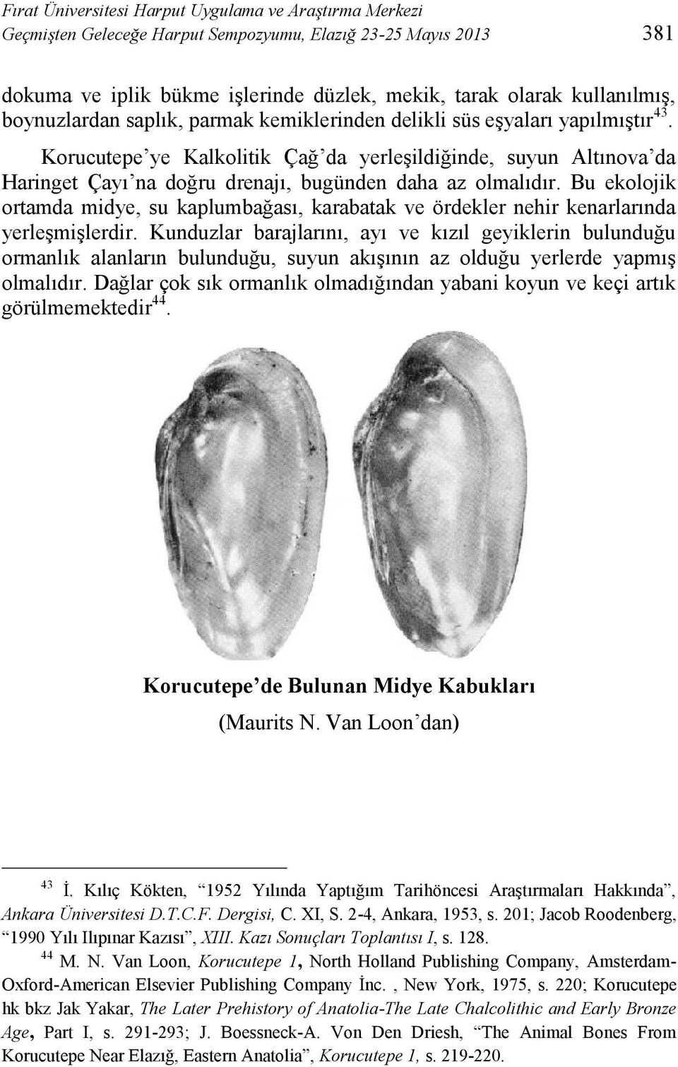 Korucutepe ye Kalkolitik Çağ da yerleşildiğinde, suyun Altınova da Haringet Çayı na doğru drenajı, bugünden daha az olmalıdır.