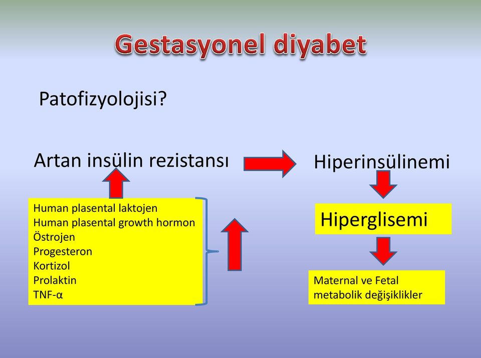 plasental laktojen Human plasental growth hormon