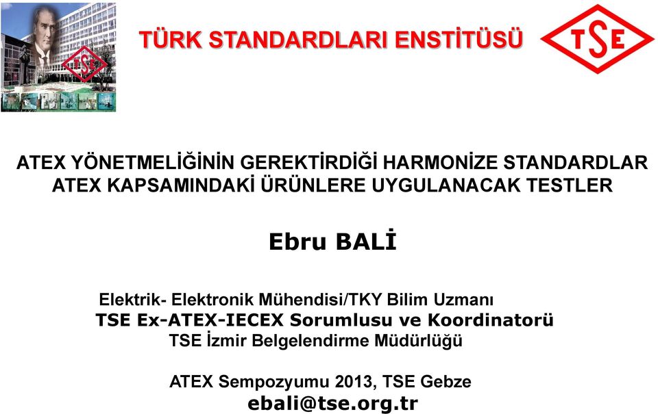 Elektronik Mühendisi/TKY Bilim Uzmanı TSE Ex-ATEX-IECEX Sorumlusu ve