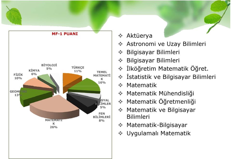 İstatistik ve Bilgisayar Bilimleri Matematik Matematik Mühendisliği SOSYAL BİLİMLER Matematik