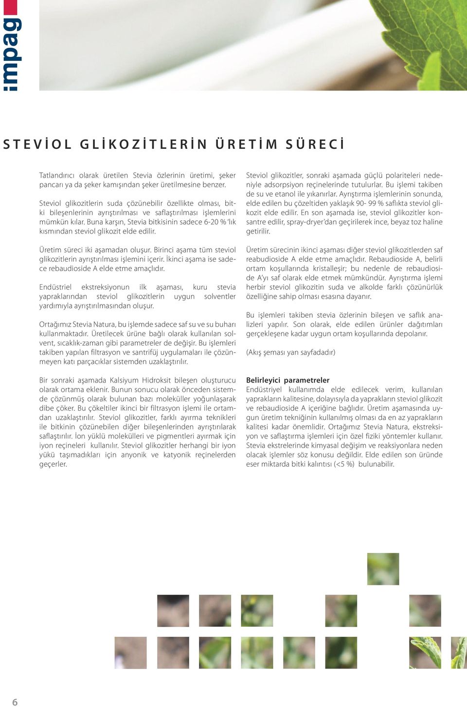 Buna karşın, Stevia bitkisinin sadece 6-20 % lık kısmından steviol glikozit elde edilir. Üretim süreci iki aşamadan oluşur. Birinci aşama tüm steviol glikozitlerin ayrıştırılması işlemini içerir.