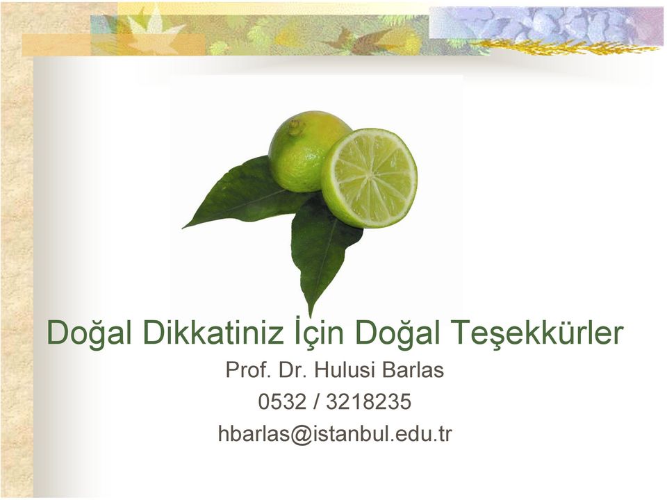 Dr. Hulusi Barlas 0532 /