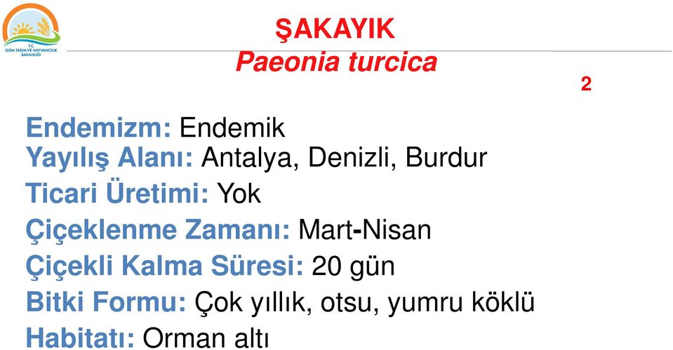 Zamanı: Mart-Nisan Çiçekli Kalma Süresi: 20 gün Bitki