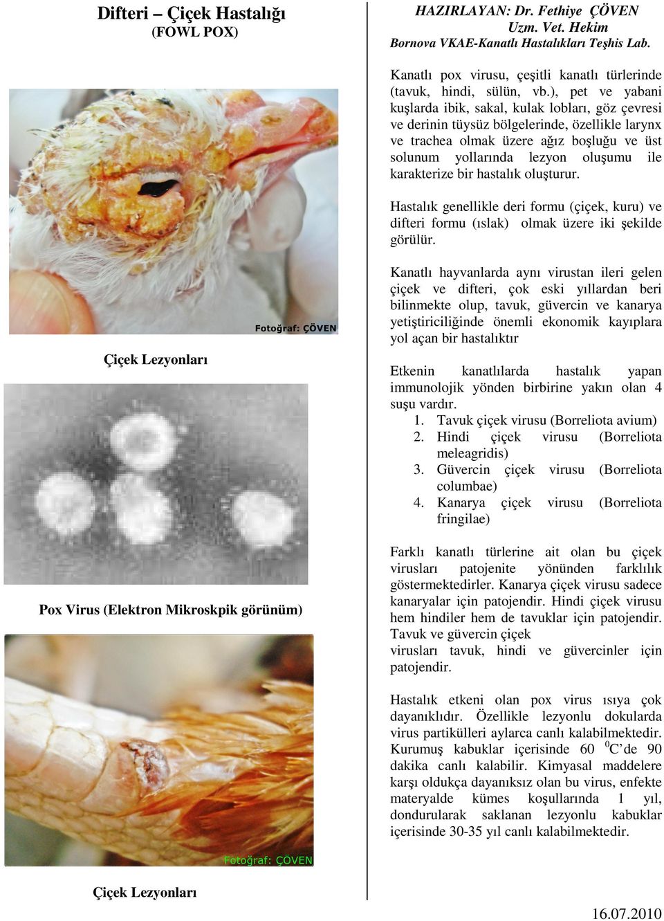 karakterize bir hastalık oluşturur. Hastalık genellikle deri formu (çiçek, kuru) ve difteri formu (ıslak) olmak üzere iki şekilde görülür.