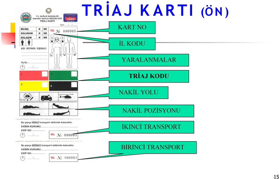 NAKİL YOLU NAKİL POZİSYONU