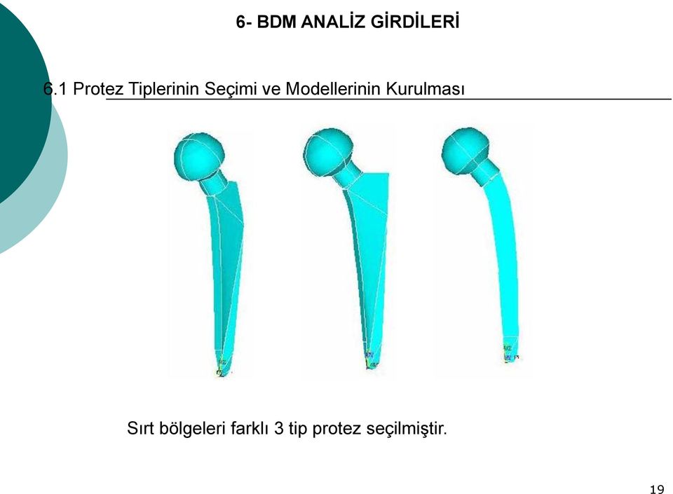 Modellerinin Kurulması Sırt