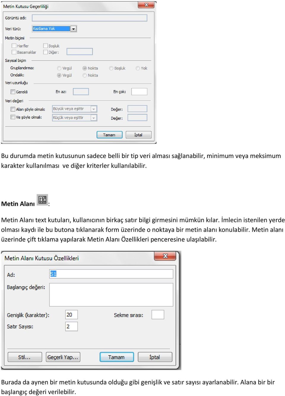 İmlecin istenilen yerde olması kaydı ile bu butona tıklanarak form üzerinde o noktaya bir metin alanı konulabilir.