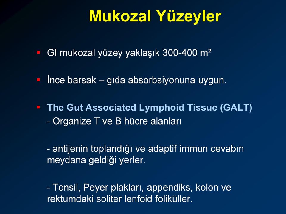 The Gut Associated Lymphoid Tissue (GALT) - Organize T ve B hücre alanları -