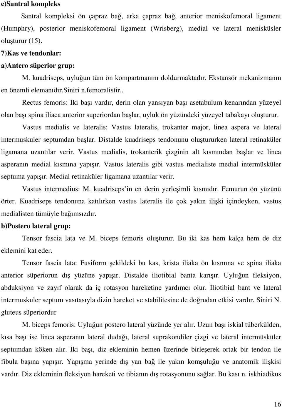 . Rectus femoris: İki başı vardır, derin olan yansıyan başı asetabulum kenarından yüzeyel olan başı spina iliaca anterior superiordan başlar, uyluk ön yüzündeki yüzeyel tabakayı oluşturur.