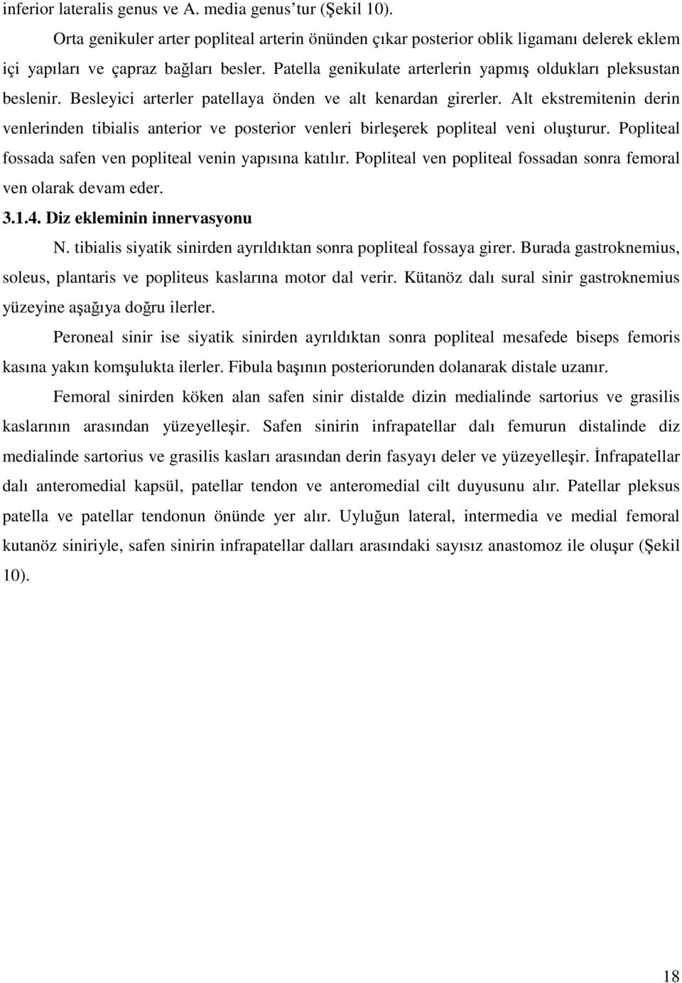 Alt ekstremitenin derin venlerinden tibialis anterior ve posterior venleri birleşerek popliteal veni oluşturur. Popliteal fossada safen ven popliteal venin yapısına katılır.