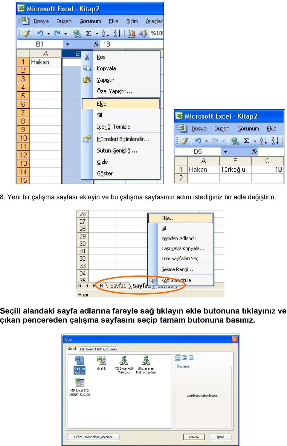 Seçili alandaki sayfa adlarına fareyle sağ tıklayın ekle