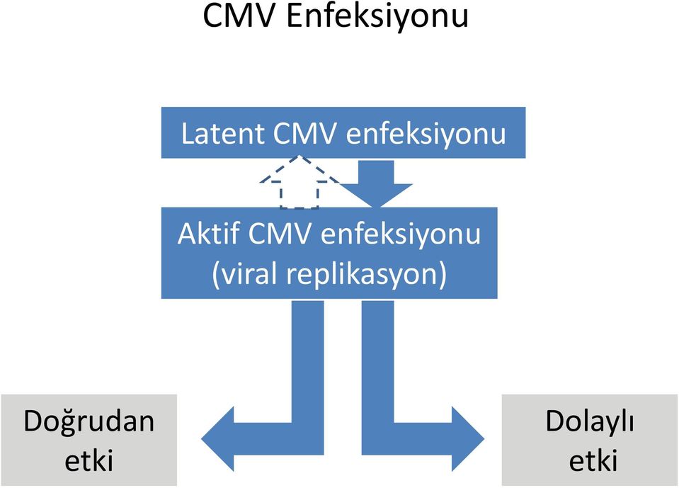 enfeksiyonu (viral