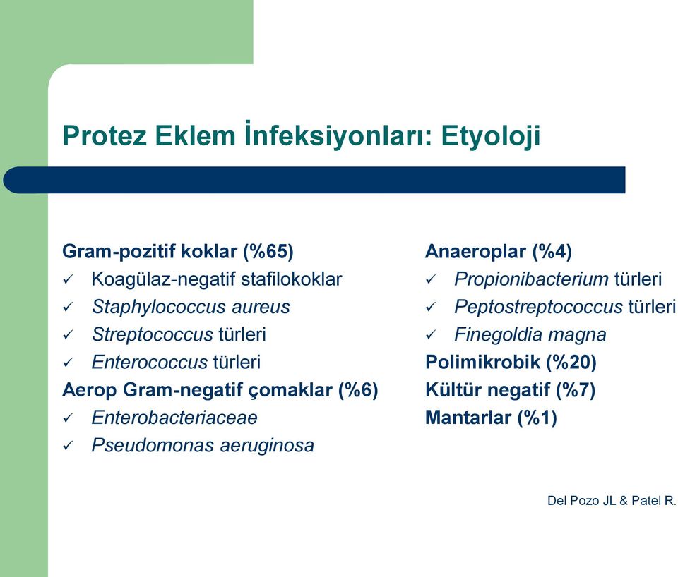 Enterobacteriaceae Pseudomonas aeruginosa Anaeroplar (%4) Propionibacterium türleri