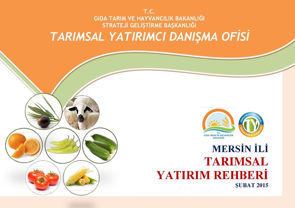 BAŞKANLIĞI TARIMSAL YATIRIMCI DANIŞMA