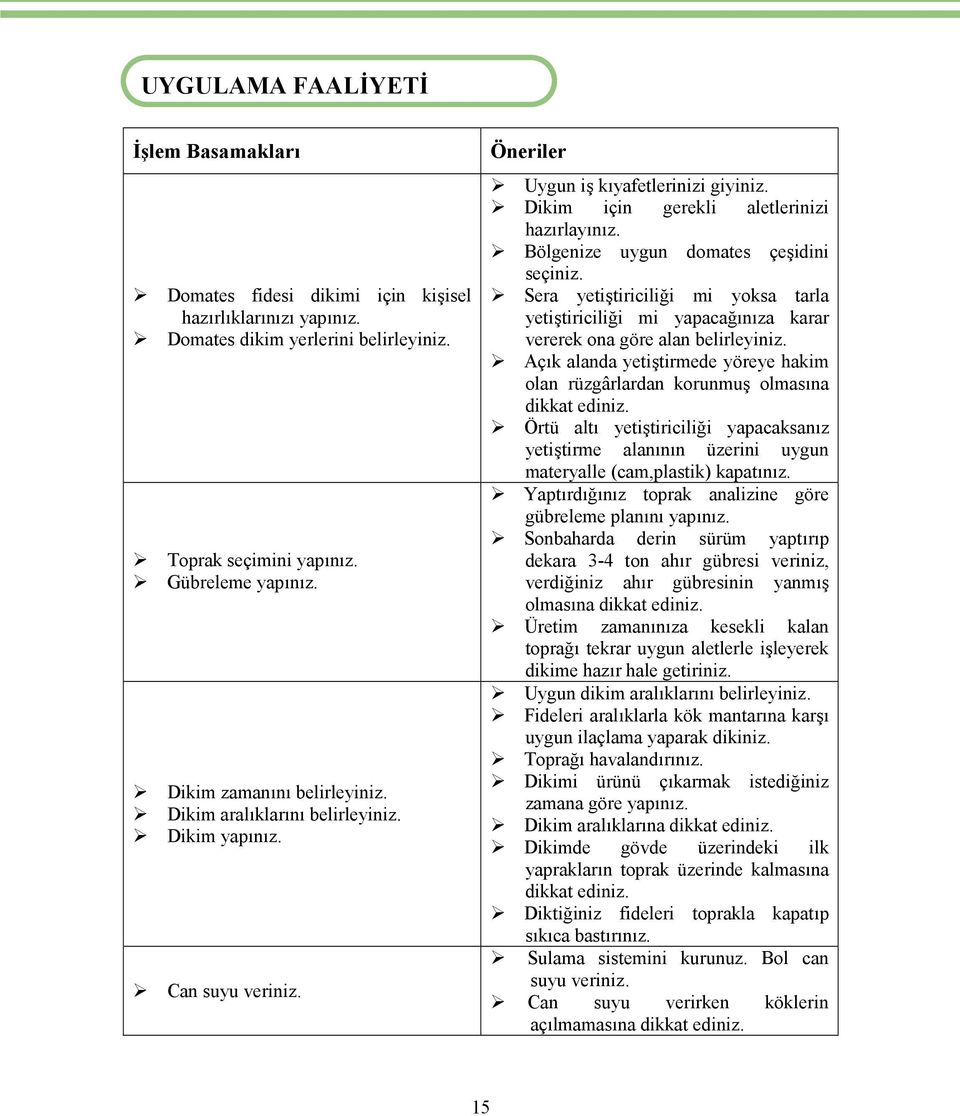 Bölgenize uygun domates çeşidini seçiniz. Sera yetiştiriciliği mi yoksa tarla yetiştiriciliği mi yapacağınıza karar vererek ona göre alan belirleyiniz.