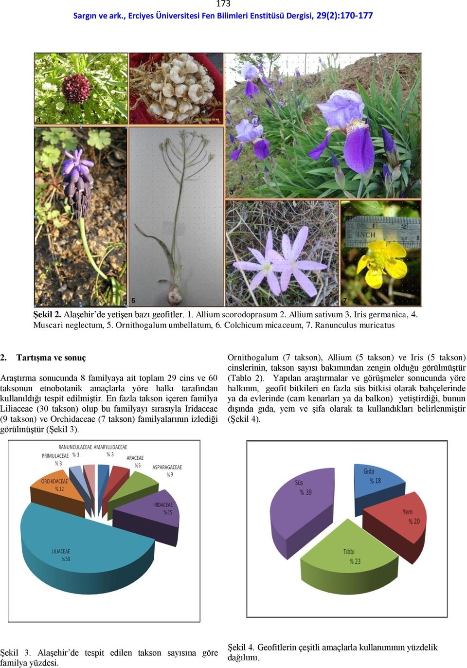 En fazla takson içeren familya Liliaceae (30 takson) olup bu familyayı sırasıyla Iridaceae (9 takson) ve Orchidaceae (7 takson) familyalarının izlediği görülmüştür (Şekil 3).
