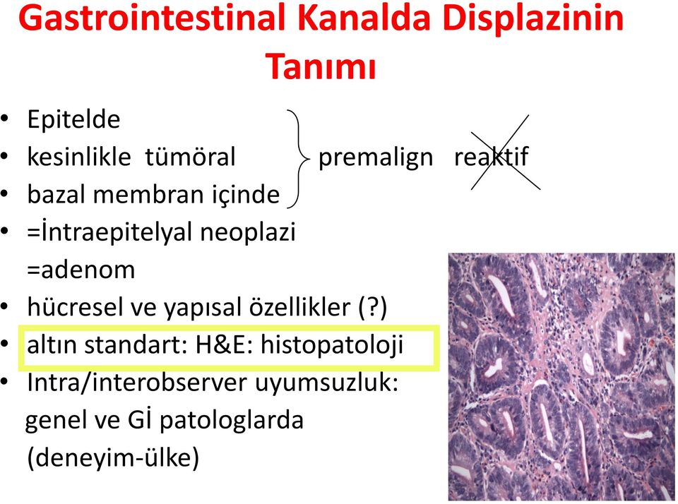 hücresel ve yapısal özellikler (?