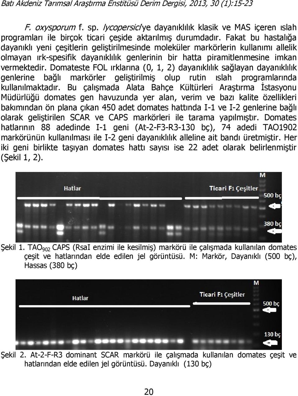 Domateste FOL ırklarına (0, 1, 2) dayanıklılık sağlayan dayanıklılık genlerine bağlı markörler geliştirilmiş olup rutin ıslah programlarında kullanılmaktadır.