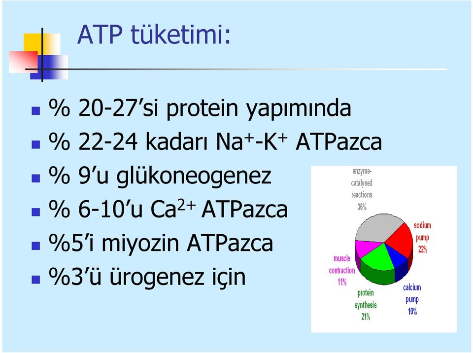 ATPazca % 9 u glükoneogenez % 6-10 u Ca