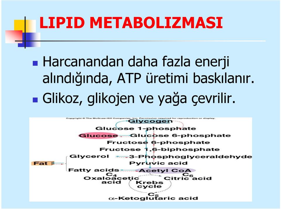 alındığında, ATP üretimi