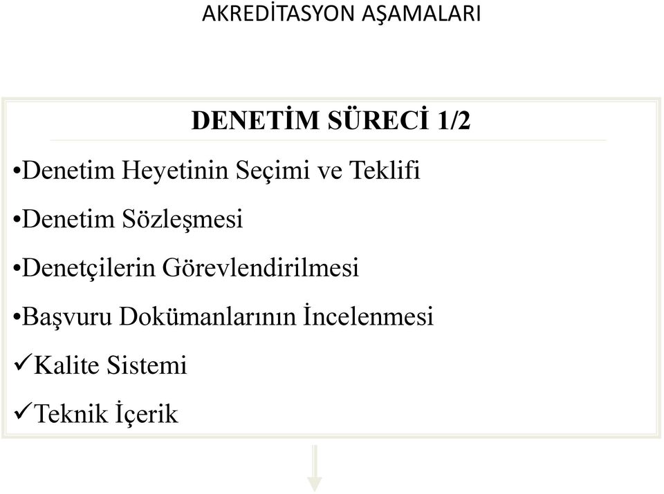 Sözleşmesi Denetçilerin Görevlendirilmesi