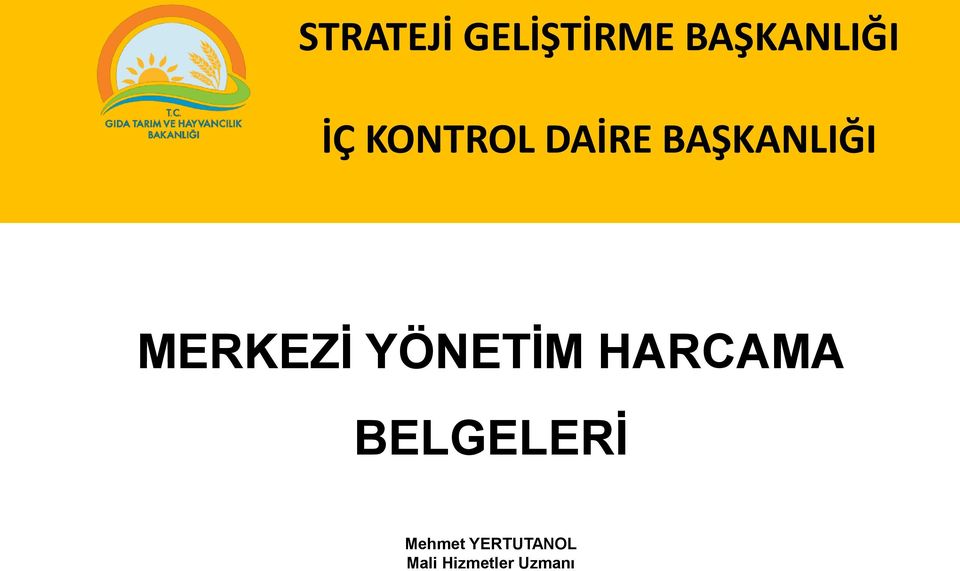 MERKEZİ YÖNETİM HARCAMA