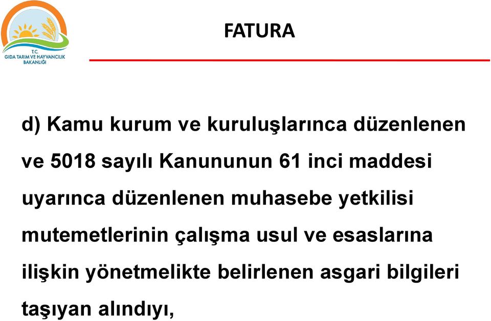 muhasebe yetkilisi mutemetlerinin çalışma usul ve