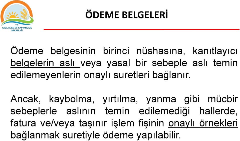 Ancak, kaybolma, yırtılma, yanma gibi mücbir sebeplerle aslının temin edilemediği