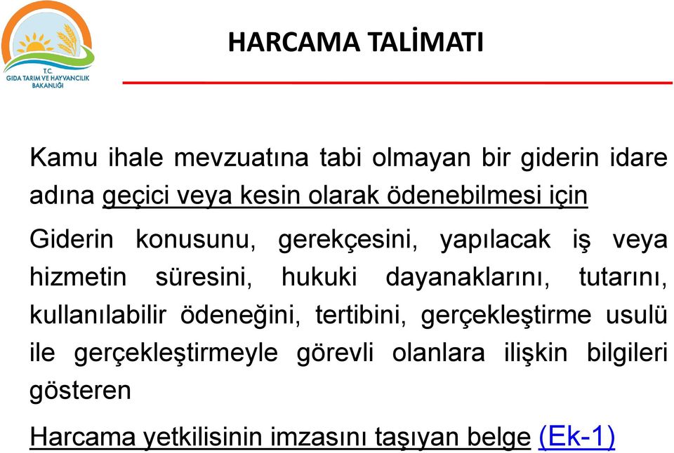 hukuki dayanaklarını, tutarını, kullanılabilir ödeneğini, tertibini, gerçekleştirme usulü ile