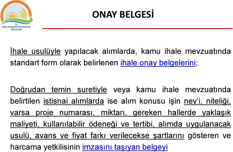 nev i, niteliği, varsa proje numarası, miktarı, gereken hallerde yaklaşık maliyeti, kullanılabilir ödeneği ve tertibi,