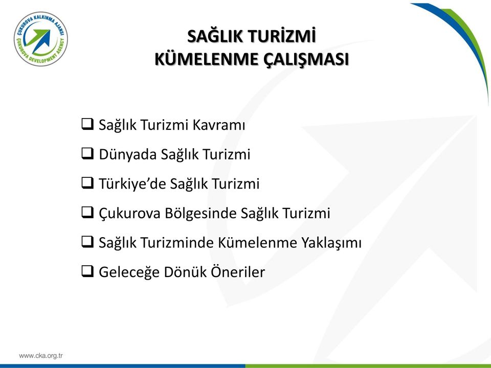 Turizmi Çukurova Bölgesinde Sağlık Turizmi Sağlık