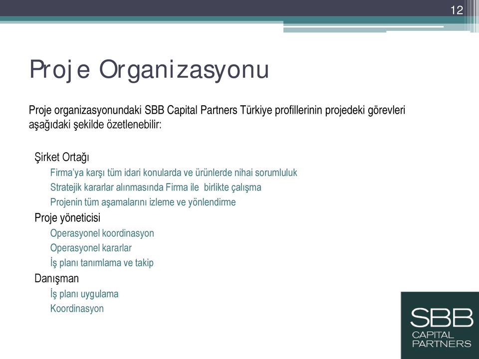 Stratejik kararlar alınmasında Firma ile birlikte çalışma Projenin tüm aşamalarını izleme ve yönlendirme Proje