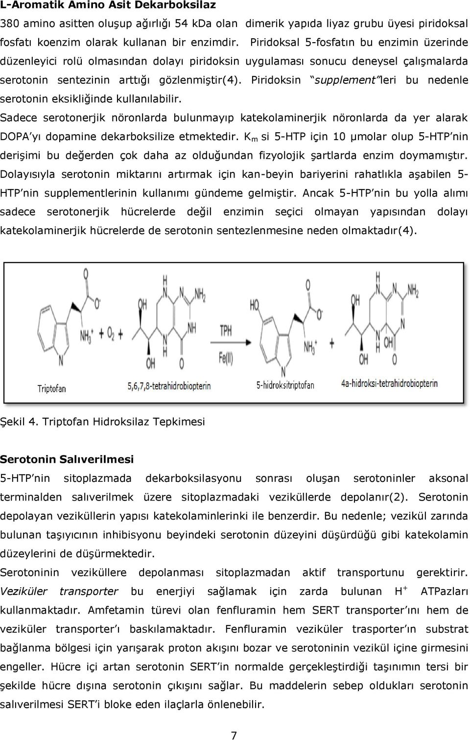 Piridoksin supplement leri bu nedenle serotonin eksikliğinde kullanılabilir.