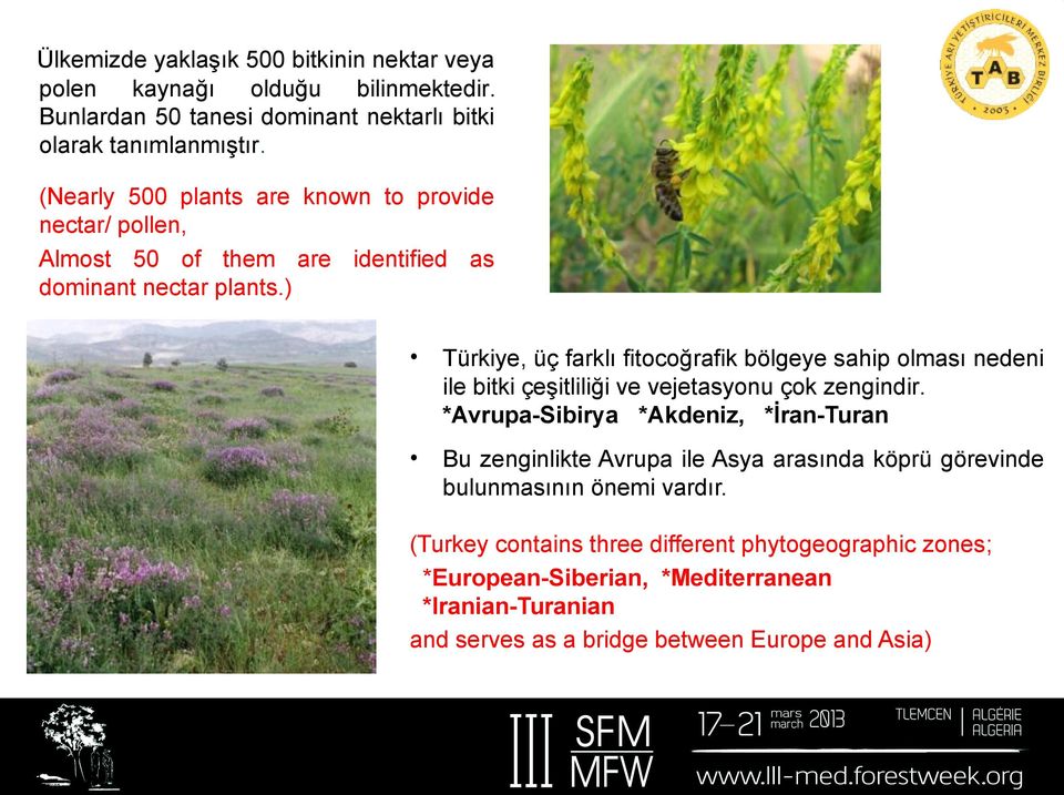 ) Türkiye, üç farklı fitocoğrafik bölgeye sahip olması nedeni ile bitki çeşitliliği ve vejetasyonu çok zengindir.