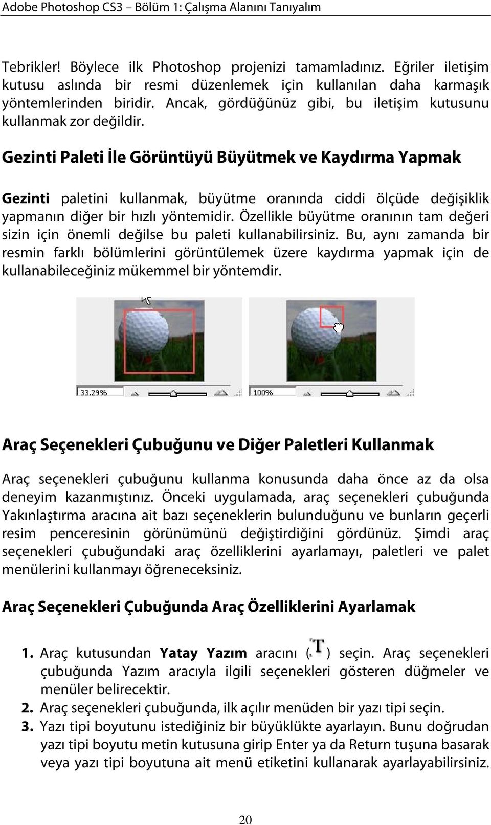 Gezinti Paleti İle Görüntüyü Büyütmek ve Kaydırma Yapmak Gezinti paletini kullanmak, büyütme oranında ciddi ölçüde değişiklik yapmanın diğer bir hızlı yöntemidir.