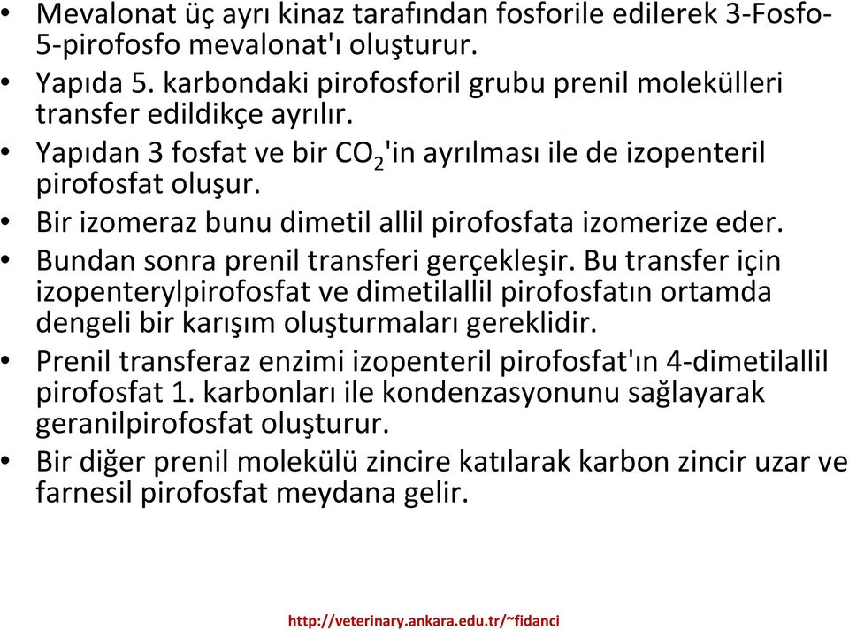 Bu transfer için izopenterylpirofosfat ve dimetilallil pirofosfatın ortamda dengeli bir karışım oluşturmaları gereklidir.