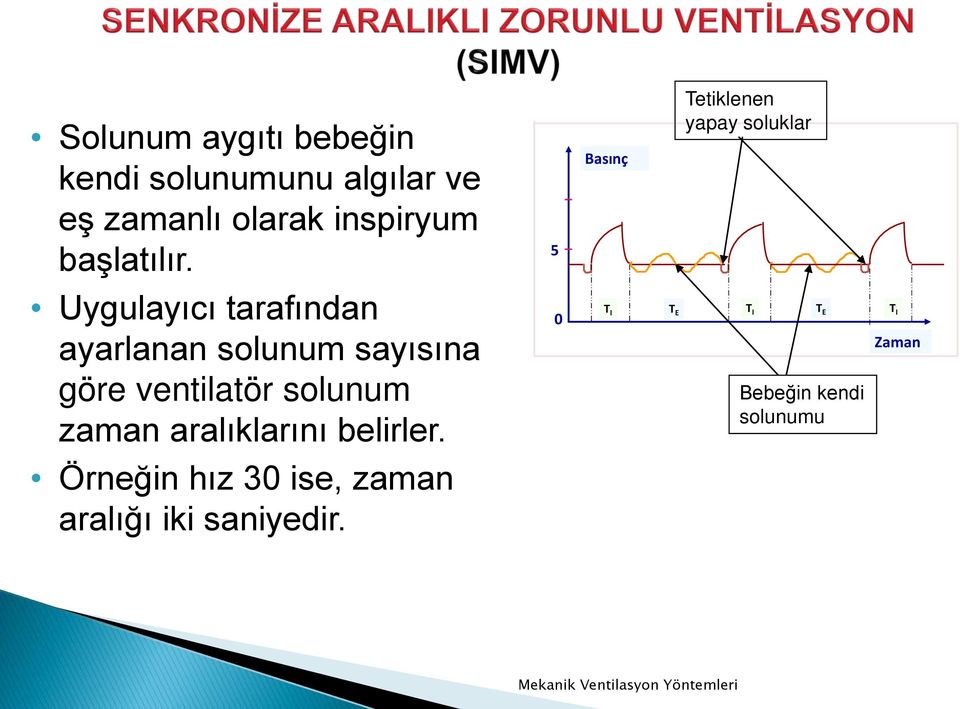 Uygulayıcı tarafından ayarlanan solunum sayısına göre ventilatör solunum zaman