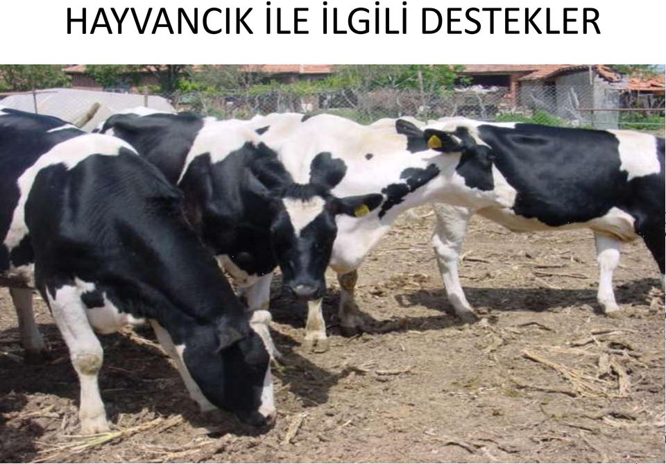 İLGİLİ