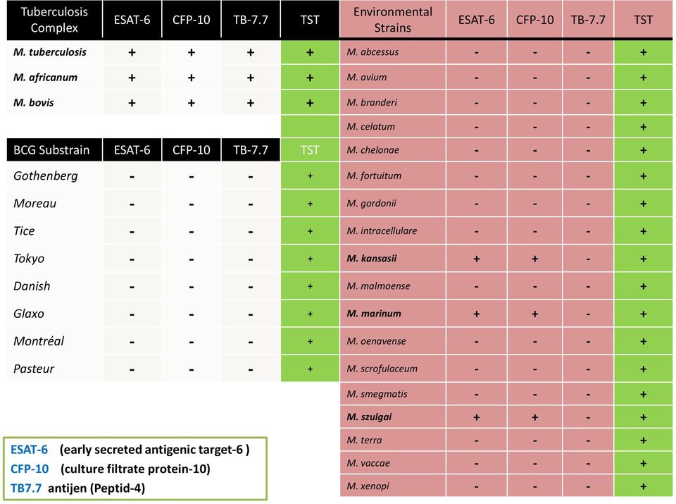 intracellulare - - - + Tokyo - - - + M. kansasii + + - + Danish - - - + M. malmoense - - - + Glaxo - - - + M. marinum + + - + Montréal - - - + M. oenavense - - - + Pasteur - - - + M.