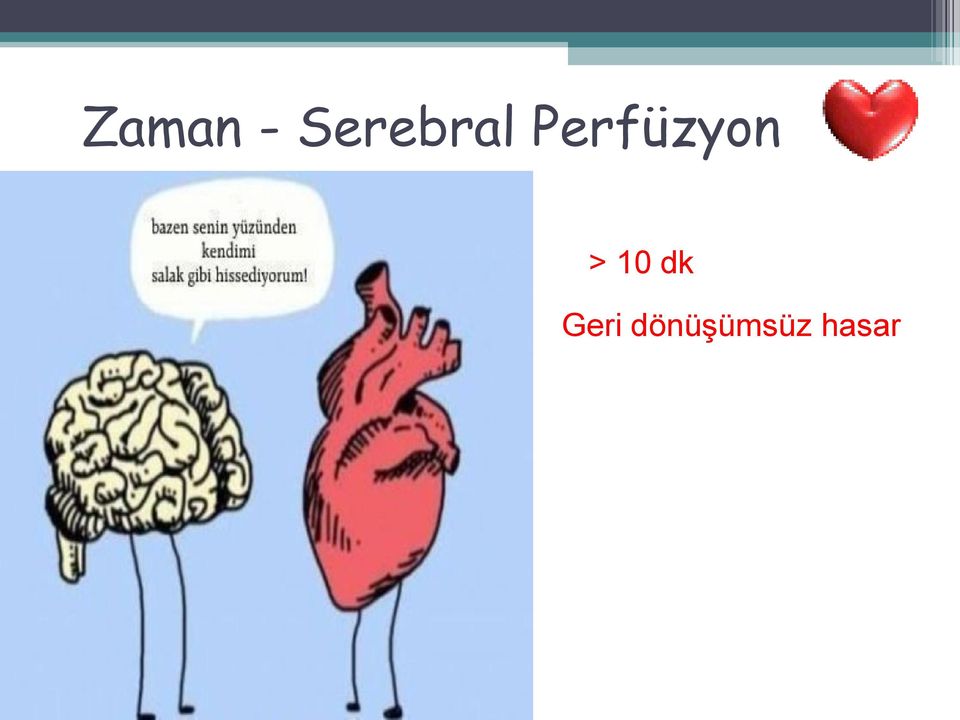 Perfüzyon >