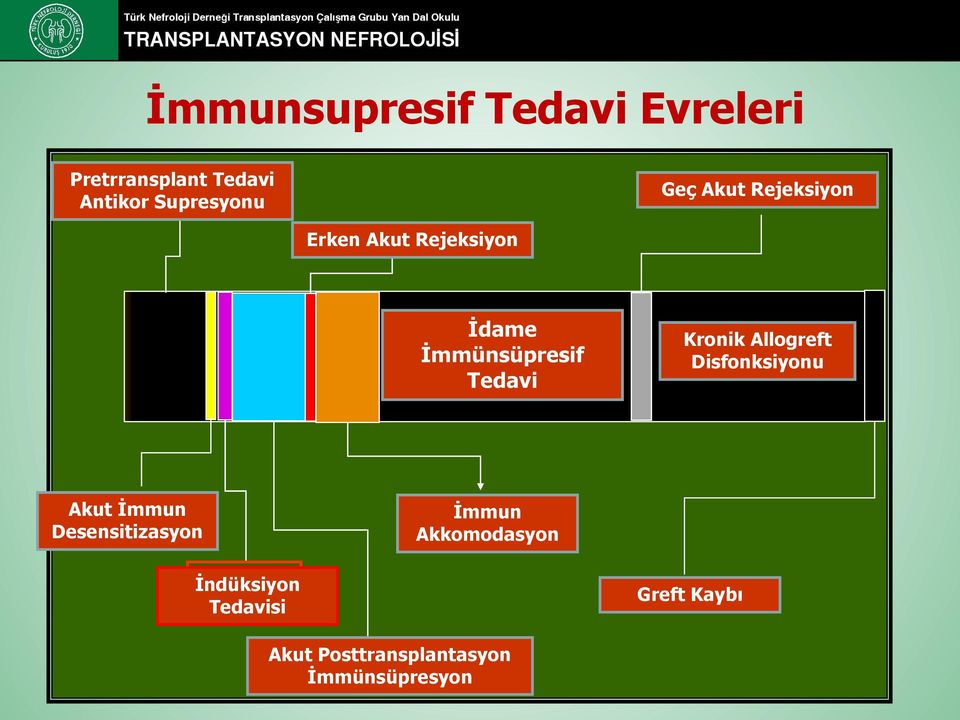 Allogreft Allograft Disfonksiyonu Dysfunction Acute Akut İmmun Immune Desensitizasyon Desensitization Immune İmmun Accommodation