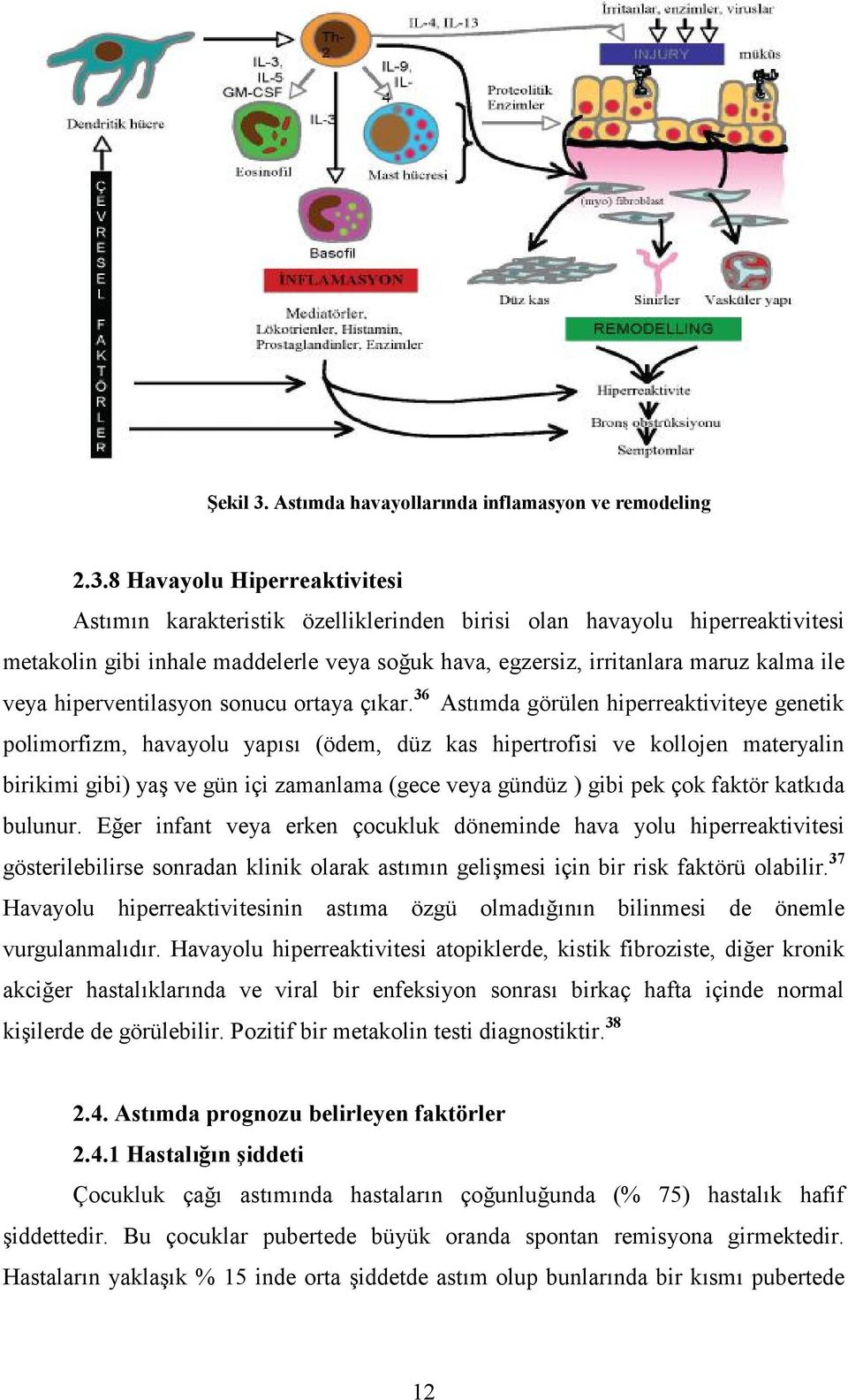 8 Havayolu Hiperreaktivitesi Astımın karakteristik özelliklerinden birisi olan havayolu hiperreaktivitesi metakolin gibi inhale maddelerle veya soğuk hava, egzersiz, irritanlara maruz kalma ile veya