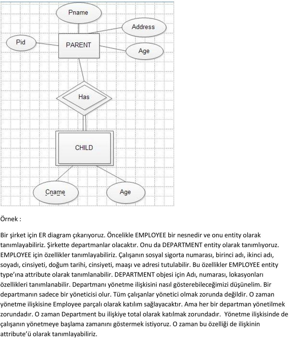 Bu özellikler EMPLOYEE entity type ına attribute olarak tanımlanabilir. DEPARTMENT objesi için Adı, numarası, lokasyonları özellikleri tanımlanabilir.