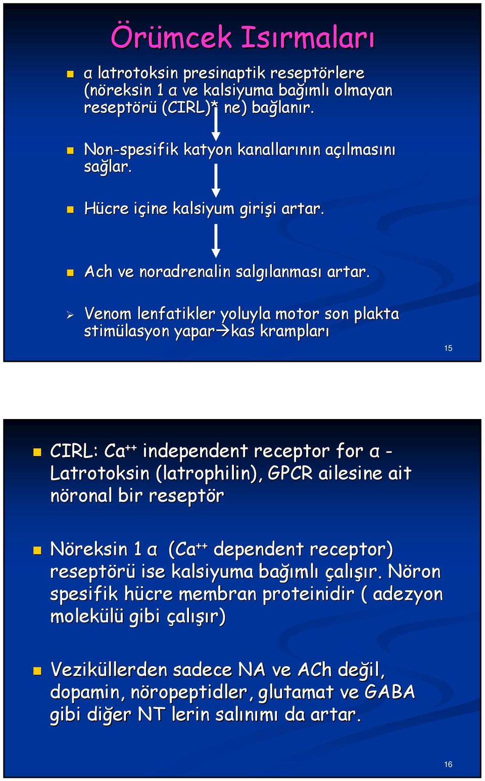 Venom lenfatikler yoluyla motor son plakta stimülasyon yapar kas krampları 15 CIRL: Ca ++ independent receptor for α - Latrotoksin (latrophilin), GPCR ailesine ait nöronal bir