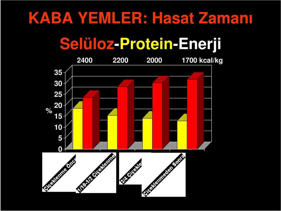 Selüloz-Protein-Enerji