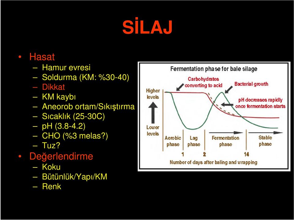 Sıcaklık (25-30C) ph (3.8-4.2) CHO (%3 melas?